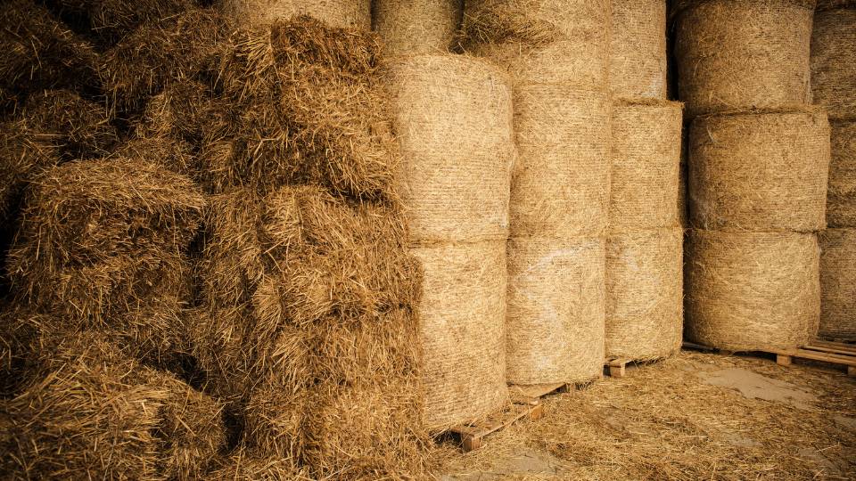 some hay bales in a farm storage facility