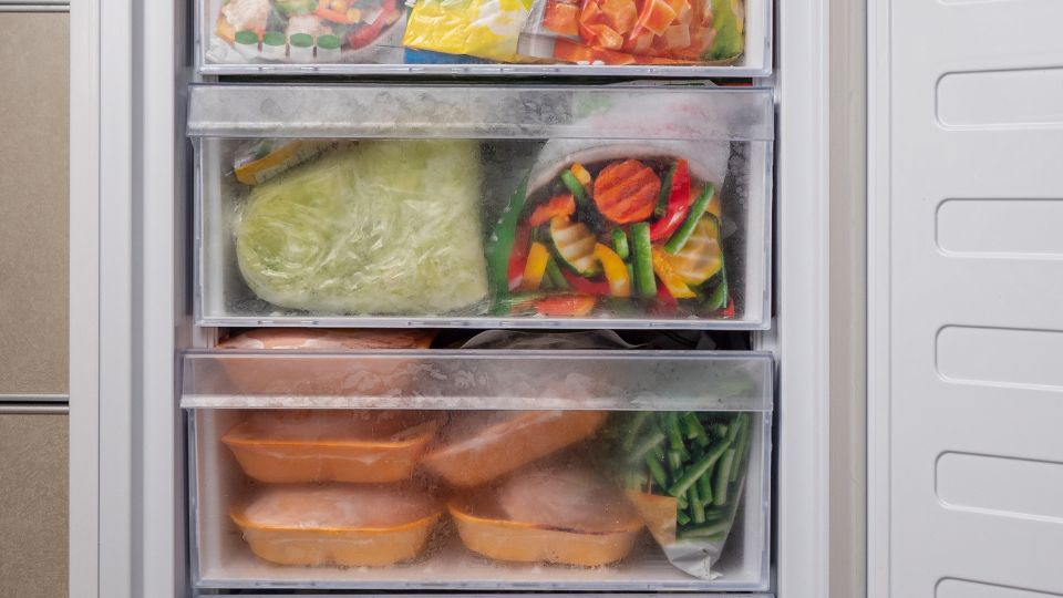 food in a fridge freezer