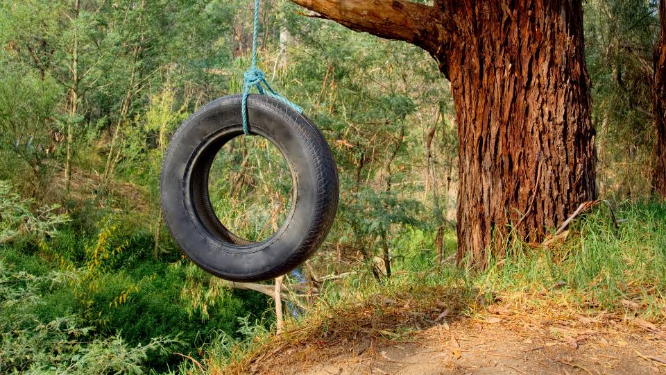 a photo of a tyre swing