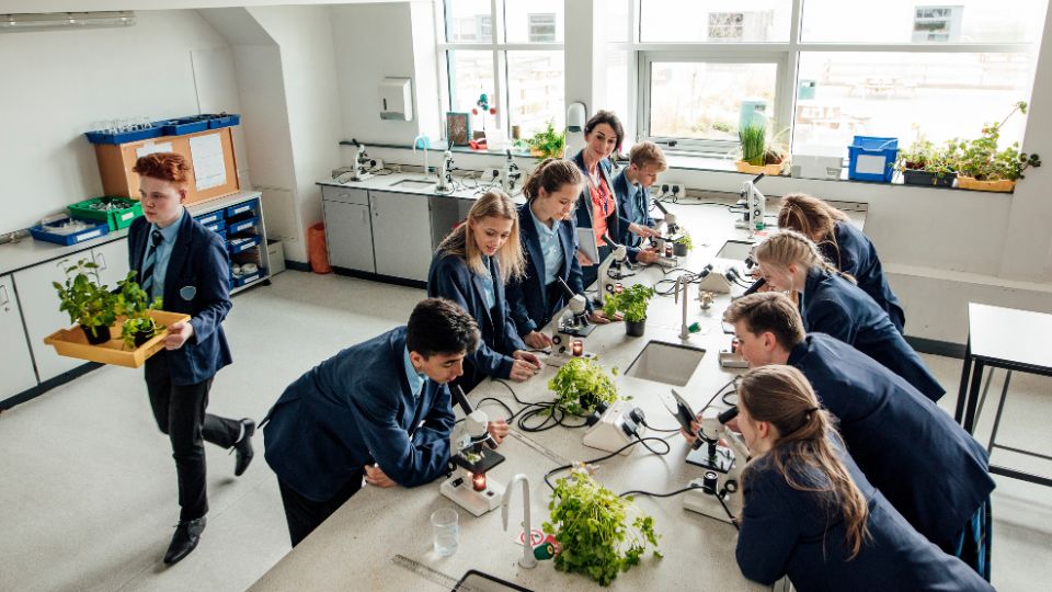 children in a UK senior school biology lesson