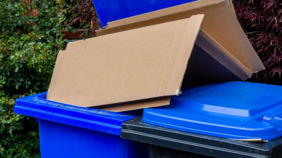 Cardboard waste on top of a wheelie bin