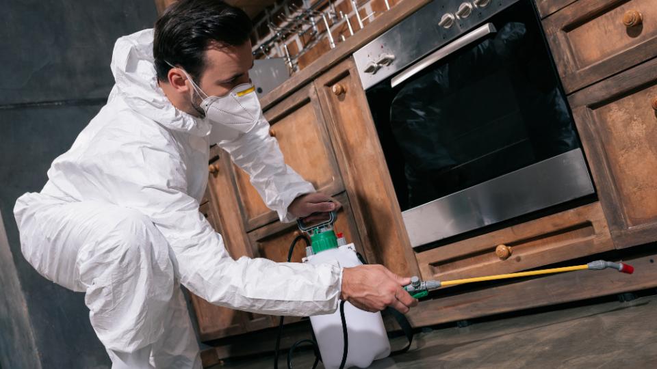 Man in protective gear to control pests in a kitchen