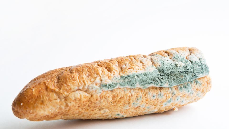 A picture of a moldy baguette