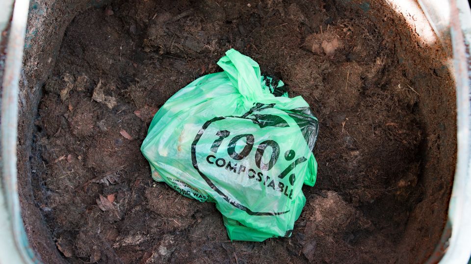 Compostable food waste bag.