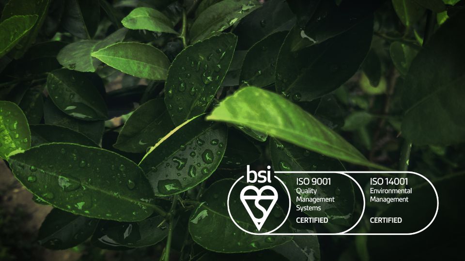 BSI ISO 9001 & 14001 logo ontop of green leaves