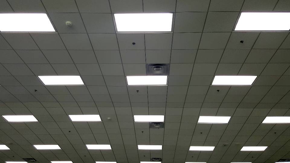 lightbulbs in an office ceiling fluoresent lights