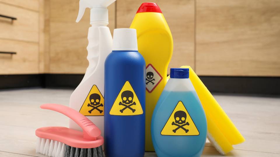 toxic pest control chemicals