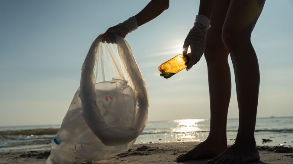 Person collecting waste from a beach.