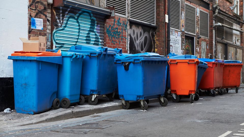 Wheelie bins outside a nightclub