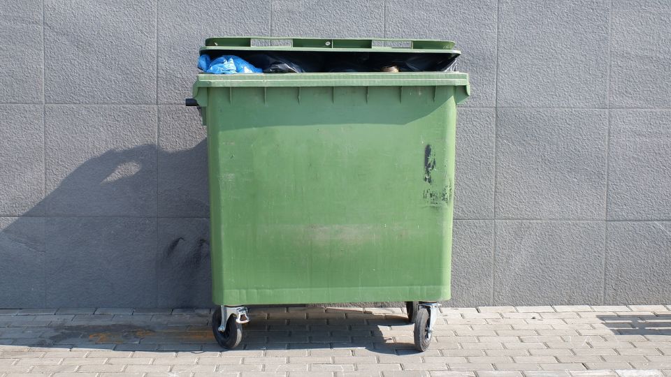 Large green wheelie bin