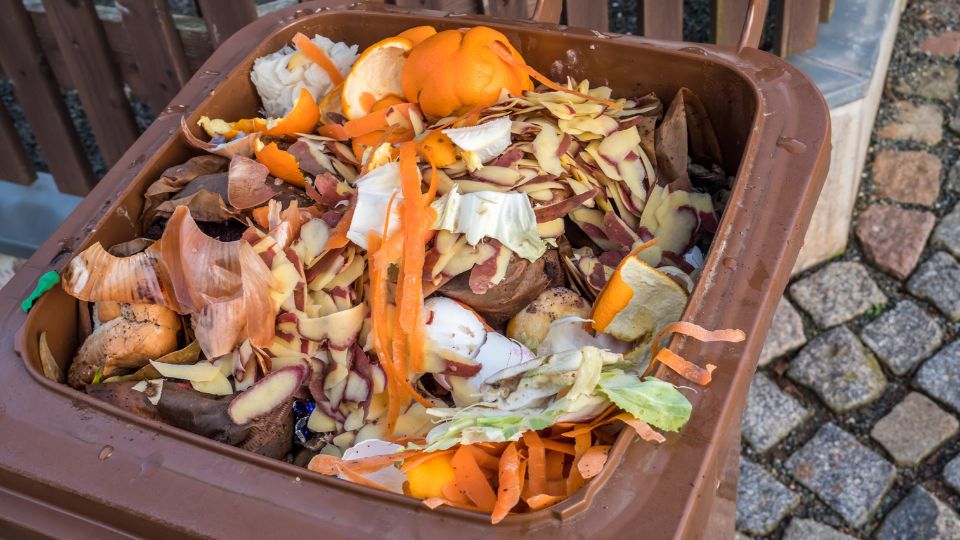 Food waste in a brown wheelie bin.