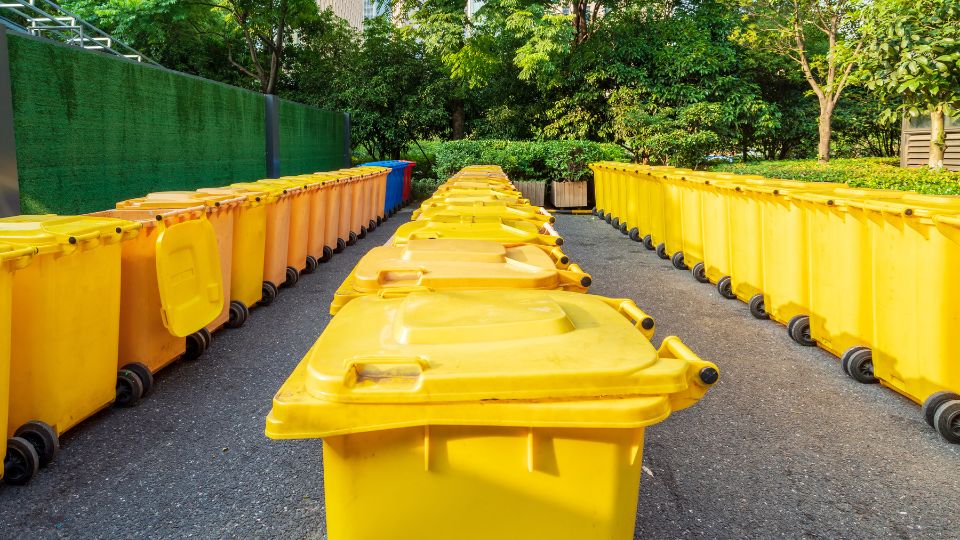 Designated bin store.