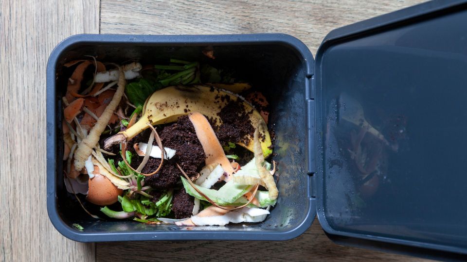 Food waste in a black compost bin.