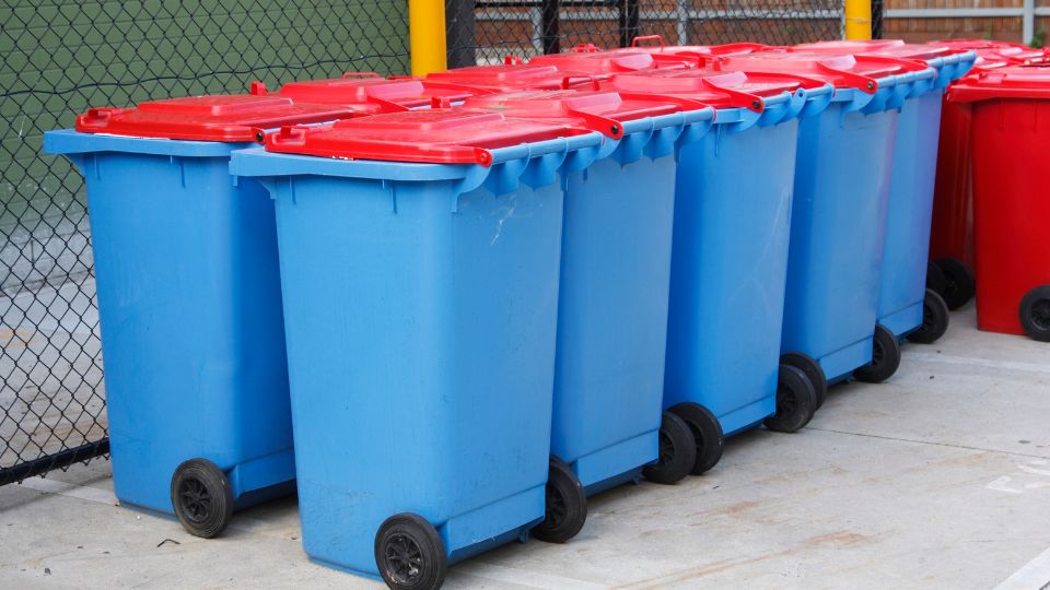 Organised wheelie bins.