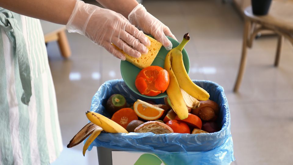 Organic food being disposed of