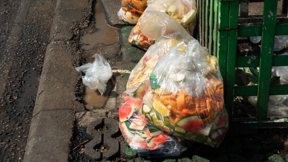 Food waste in a clear bin bag.