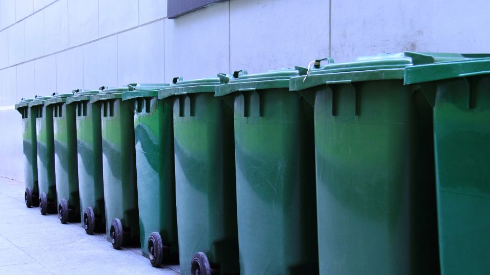 Green wheelie bins in a line