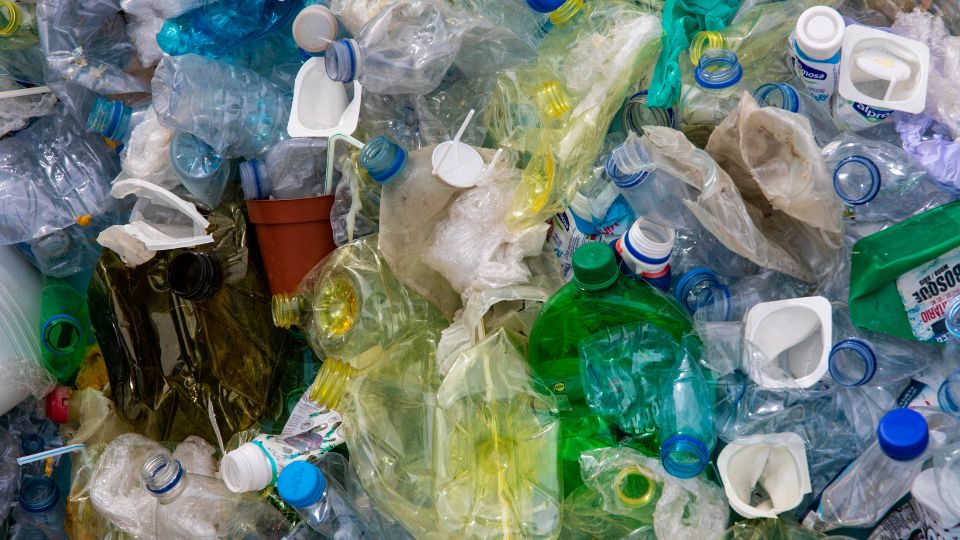 picture of lots of plastic bottles in different colours