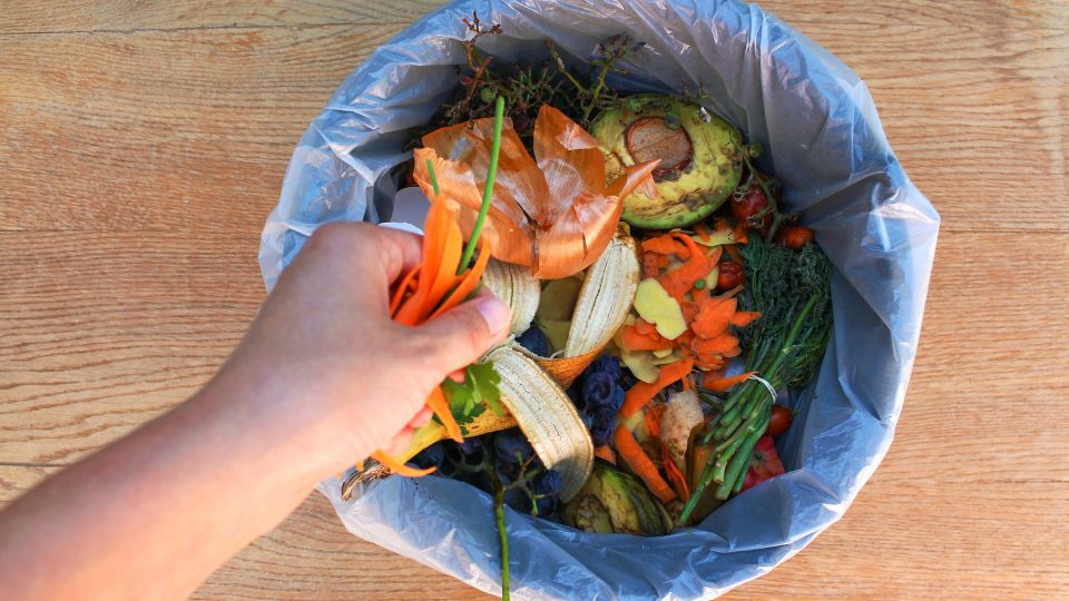 Food waste being recycled.