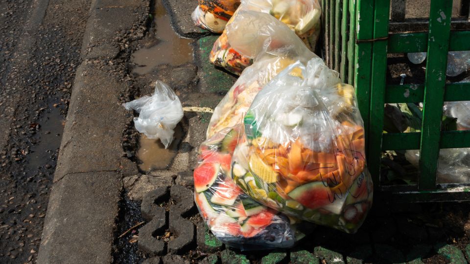 Food waste in clear bin bag.