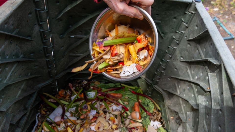 Food waste scraps being recycled.