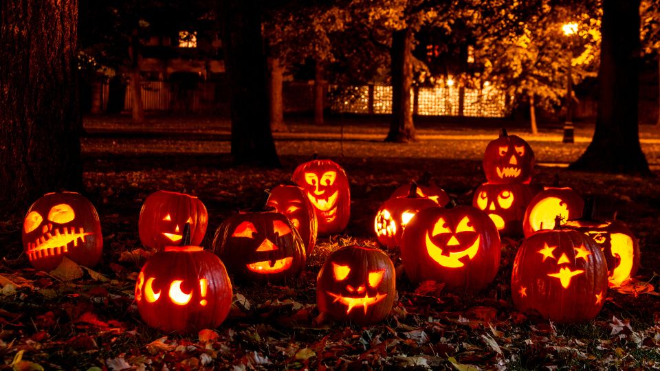 Decorated pumpkins at Halloween time.